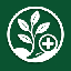 Flora Medical Global logo